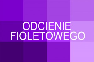 Odcienie fioletowego
