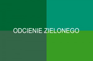 Odcienie zielonego