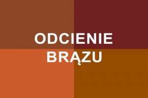 Odcienie brązu