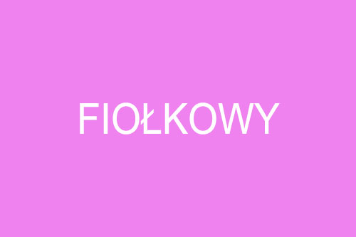 Fiołkowy