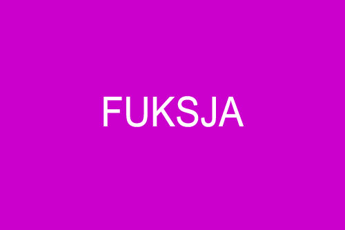 Fuksja