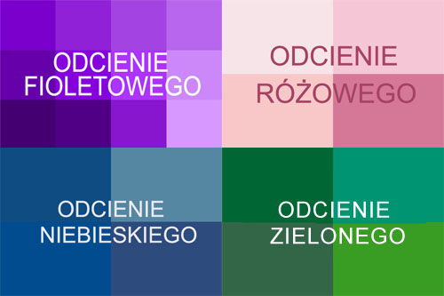 Odcienie kolorów