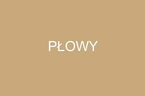 Kolor płowy