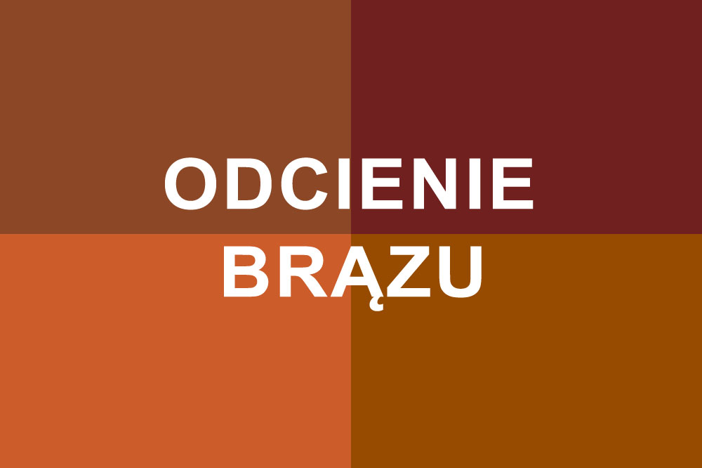 Odcienie brązu