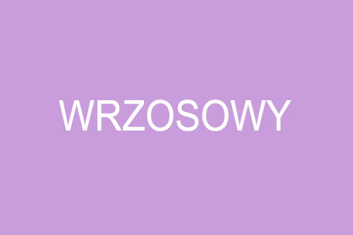 Wrzosowy